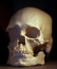 Der Uramerikaner, die Ureinwohner und die Arch�ologen